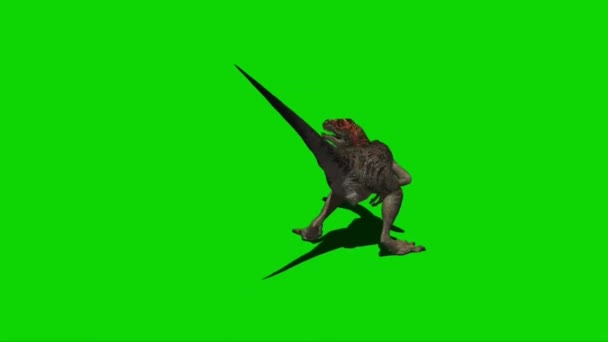 Dinosaurio Rugiendo Pantalla Verde — Vídeo de stock