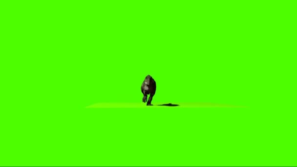 Yeşil Ekranda Çalışan Dinozor — Stok video
