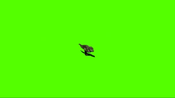 Динозавр Шагает Зеленому Экрану — стоковое видео