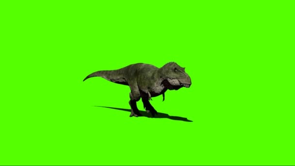 Dinossauro Andando Tela Verde — Vídeo de Stock