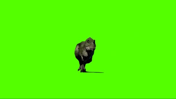Динозавр Шагает Зеленому Экрану — стоковое видео
