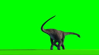 Brachiosaurus Dinozoru Yeşil Ekran 'a Bakıyor