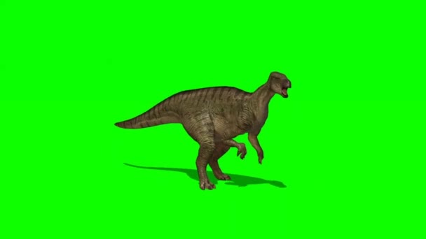 Dinosaurus Brullend Groen Scherm — Stockvideo