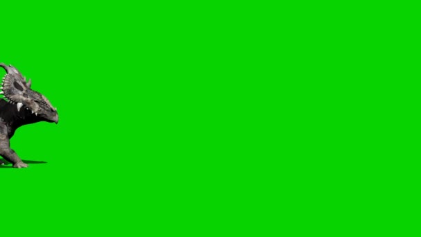 Pachyrhinosaurus Dinosaur Walking Green Screen — Stock Video