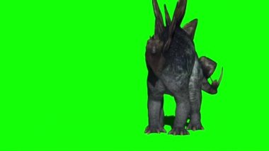 Stegosaurus Dinozor Yeşil Ekran 'a Saldırıyor