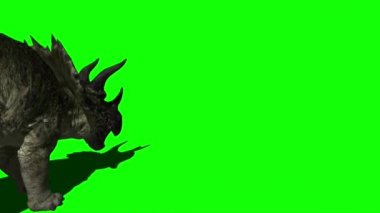 Triceratops Dinozor Yeşil Ekran 'a Saldırıyor