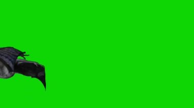 Yeşil Ekranda Uçan Ejder