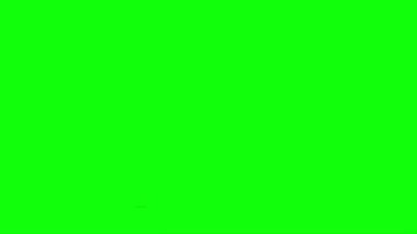 Yeşil Ekranda Ejderha Kükremesi