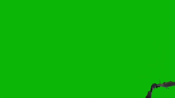 Дракон Летить Зеленому Екрані — стокове відео