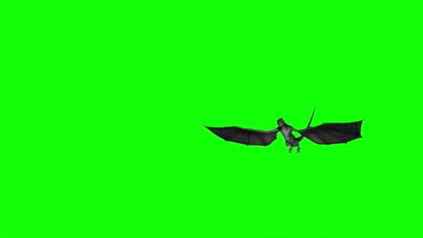 Sárkány Repülő Zöld Képernyőn — Stock videók