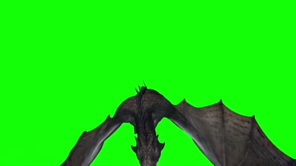 Dragón Volando Pantalla Verde — Vídeo de stock