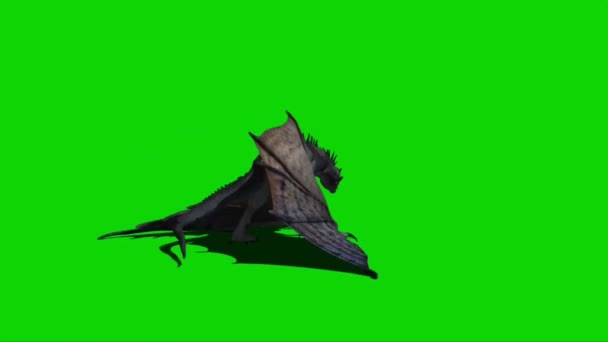 Dragon Flying Green Screen — стоковое видео