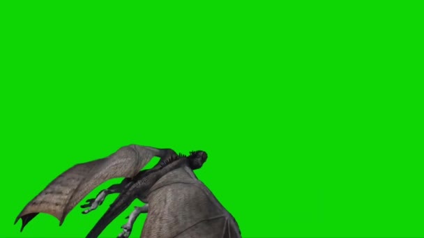 Dragon Flying Green Screen — Stock Video