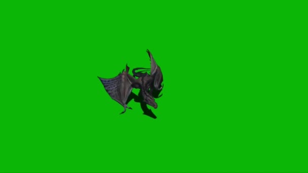 Draken Flyger Grön Skärm — Stockvideo