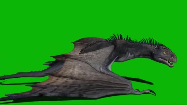Dragón Volando Pantalla Verde — Vídeo de stock
