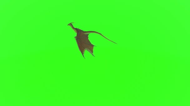 Yeşil Ekranda Uçan Ejder — Stok video