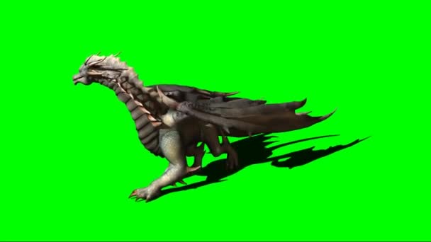 Dragon Walking Zielonym Ekranie — Wideo stockowe