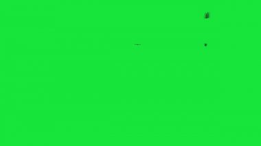 Yeşil Ekranda Uçan Yarasalar