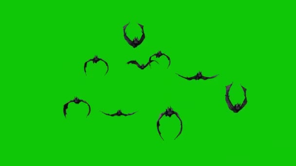 Bats Flying Green Screen — Stock Video