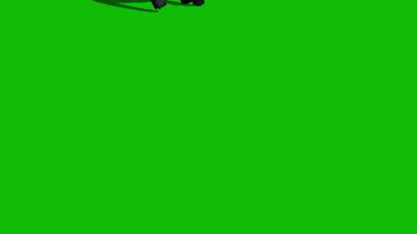 Gorilla majom séta a zöld képernyőn