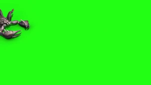Scorpione Che Cammina Sullo Schermo Verde — Video Stock