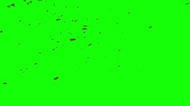 Yeşil Ekranda Uçan Bal Arıları Sürüsü