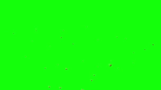 緑の画面で飛ぶミツバチの群れ — ストック動画