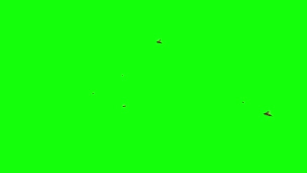 Swarm Honey Bees Flying Green Screen — Stock Video