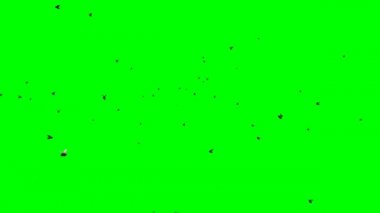 Yeşil Ekranda Uçan Sinek Sürüsü