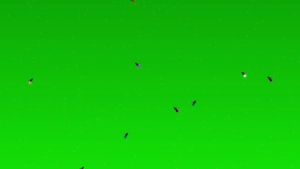 Πυγολαμπίδες Που Πετούν Στην Πράσινη Οθόνη — Αρχείο Βίντεο