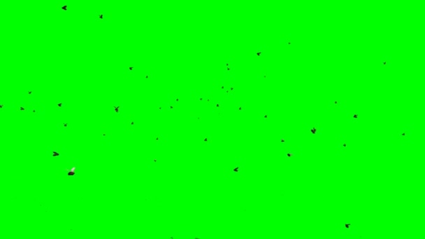 Flugornas Svärm Flyger Grön Skärm — Stockvideo