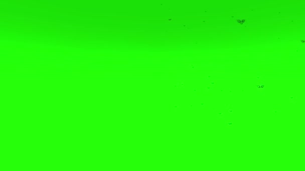 Roj Much Létajících Zelené Obrazovce — Stock video
