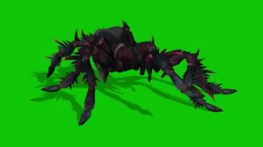 Yeşil Ekranda Yürüyen Örümcek