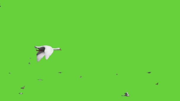3,851 vídeos de Animales de pantalla verde, metraje de Animales de pantalla verde sin royalties | Depositphotos 3,851 vídeos de Animales de pantalla verde, metraje de Animales de pantalla verde sin royalties | Depositphotos