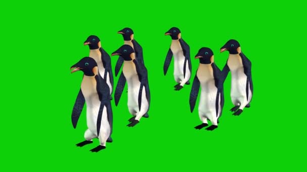 Pinguins Andando Tela Verde — Vídeo de Stock