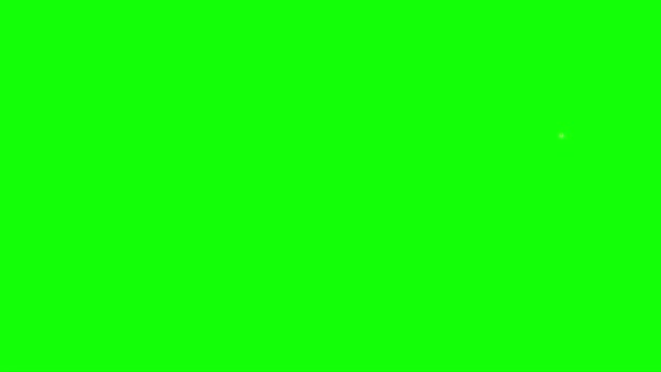 Fairy Flying Green Screen — Stock Video