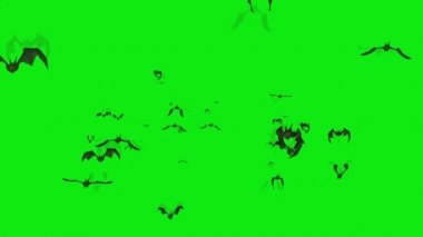 Yeşil Ekranda Uçan Yarasa Sürüsü