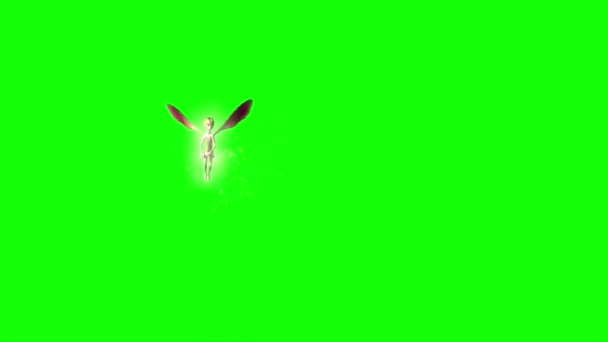 Fairy Flying Green Screen — Stock Video