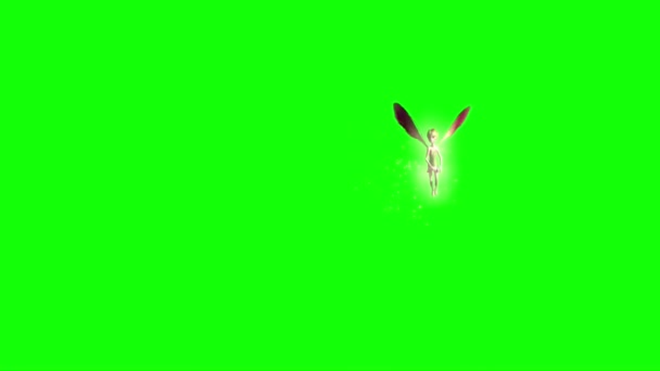 Hada Volando Pantalla Verde — Vídeos de Stock