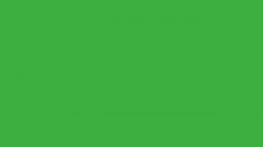 Yeşil ekrandaki abone düğmesine bas