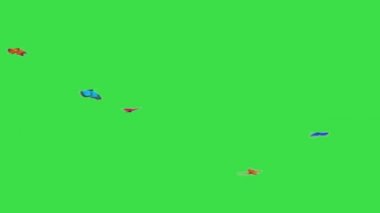 Kelebekler Yeşil Ekranda Uçuyor