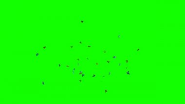 Yeşil Ekranda Uçan Kelebek Sürüsü