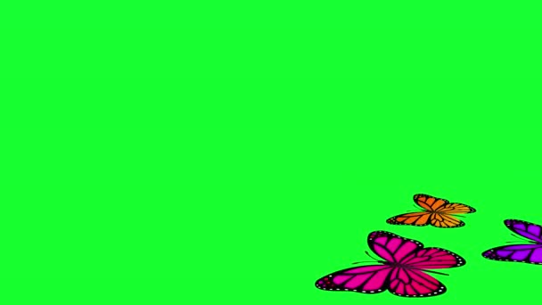 Mariposas Volando Pantalla Verde — Vídeos de Stock