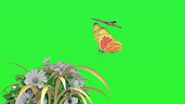 Mariposas Volando Pantalla Verde — Vídeo de stock