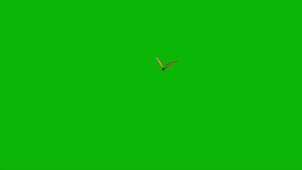 Schmetterling fliegt auf grünem Bildschirm