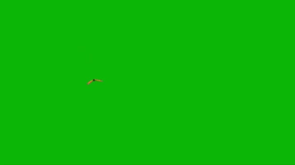 Motyl Latający Zielonym Ekranie — Wideo stockowe