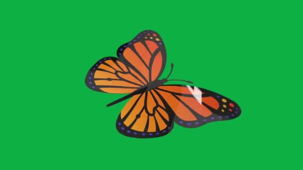 Motýl Létající Zelené Obrazovce — Stock video