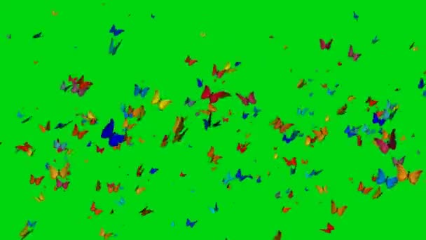 Rój Motyli Latających Zielonym Ekranie — Wideo stockowe