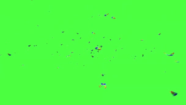Rój Motyli Latających Zielonym Ekranie — Wideo stockowe