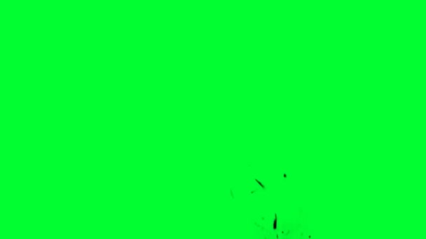 绿色屏风的火爆效果 — 图库视频影像